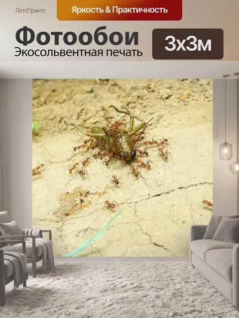 Фотообои Насекомые