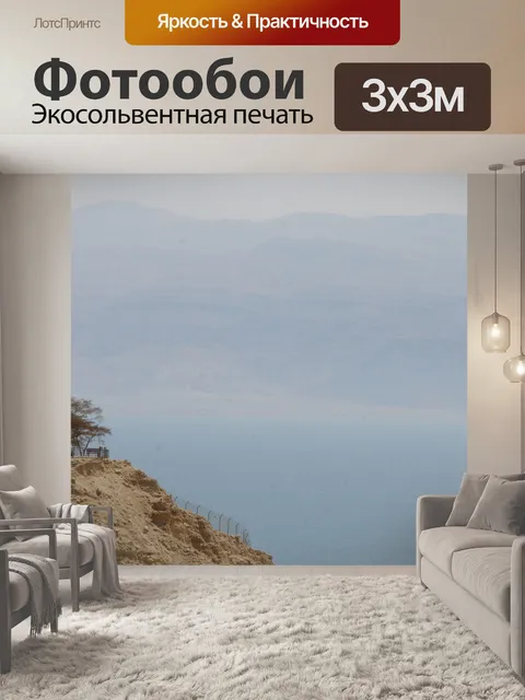 Фотообои Пейзаж Мертвого моря с шипом