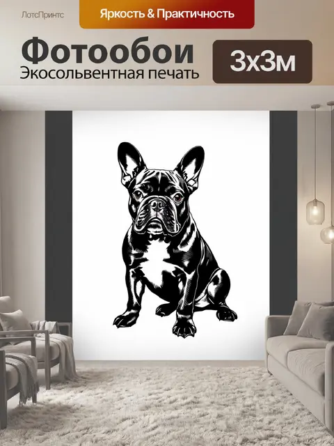 Фотообои создайте мрачную черно-белую схему французского бульдога