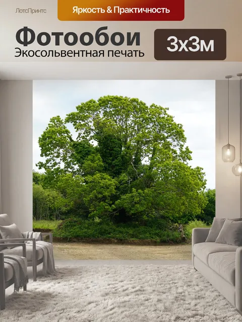Фотообои Одинокое дерево