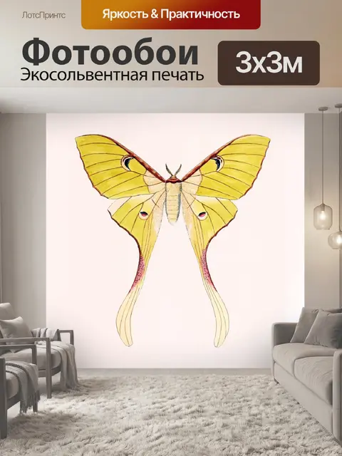 Фотообои Бабочки цветы старинные старые