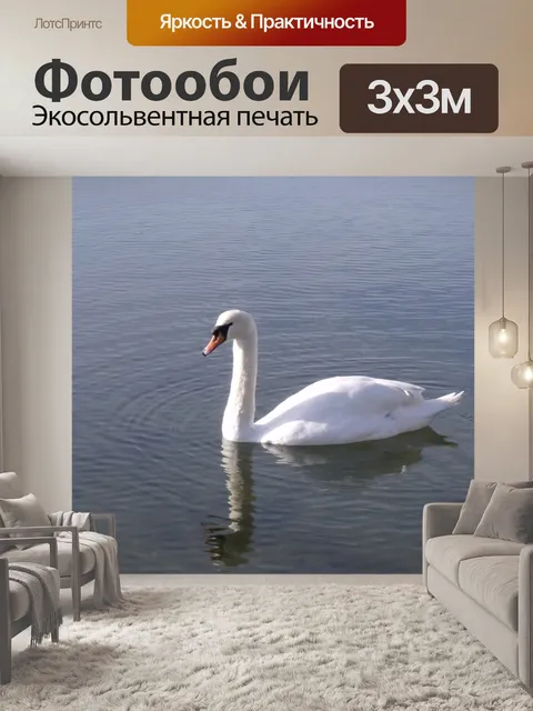 Фотообои Лебедь на воде