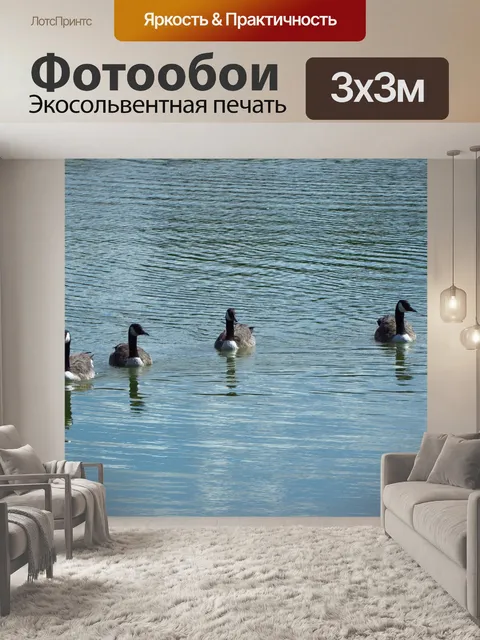 Фотообои Птицы