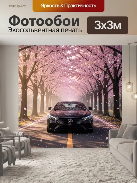 Фотообои Черный автомобиль под сакурой