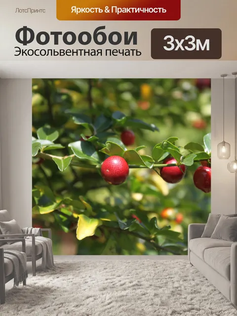 Фотообои Красные ягоды на дереве