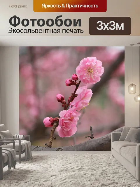 Фотообои Цветение сливы