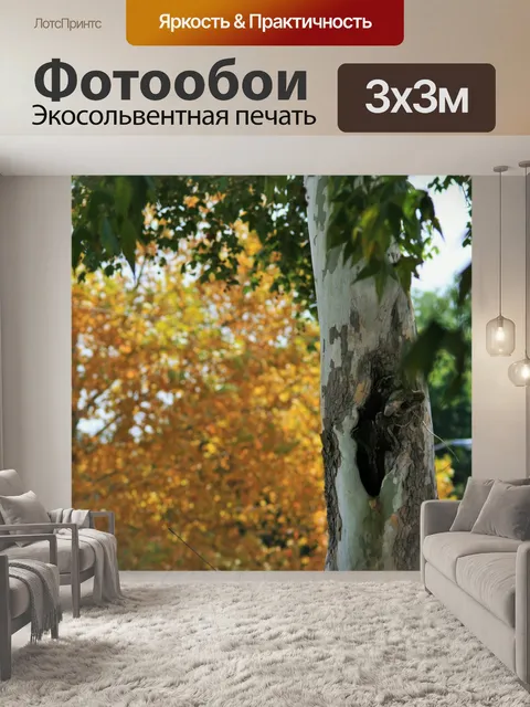 Фотообои клен ствол дерева