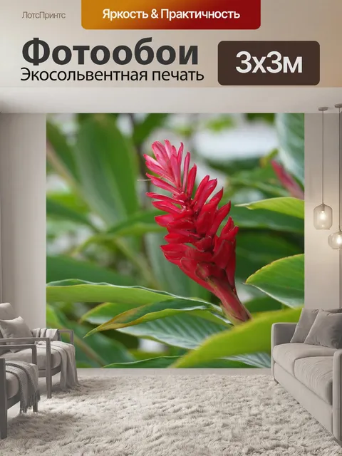 Фотообои Красный