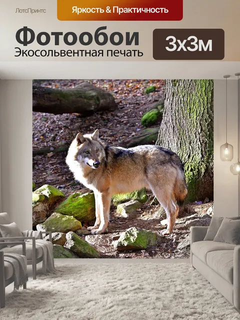 Фотообои Природа