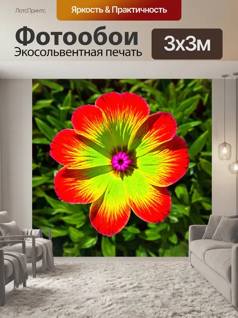 Фотообои цветы в стиле полигональный, с фокусом на редкие виды растений, изображенные в ярких и необычных цветах