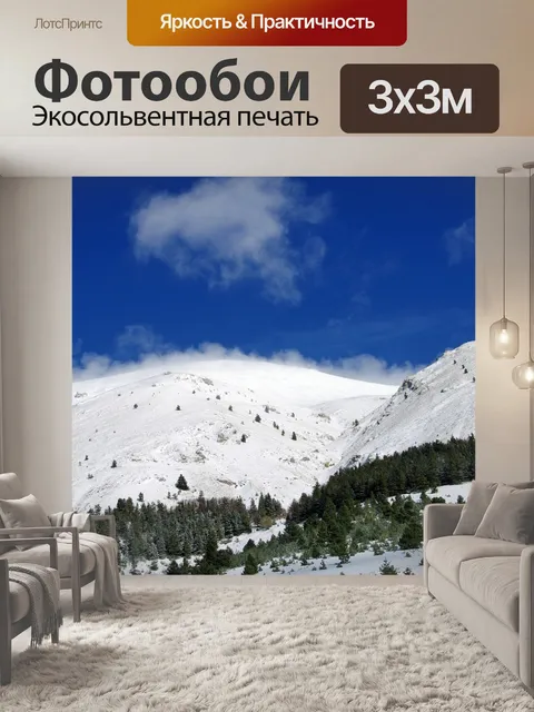 Фотообои Утверждать