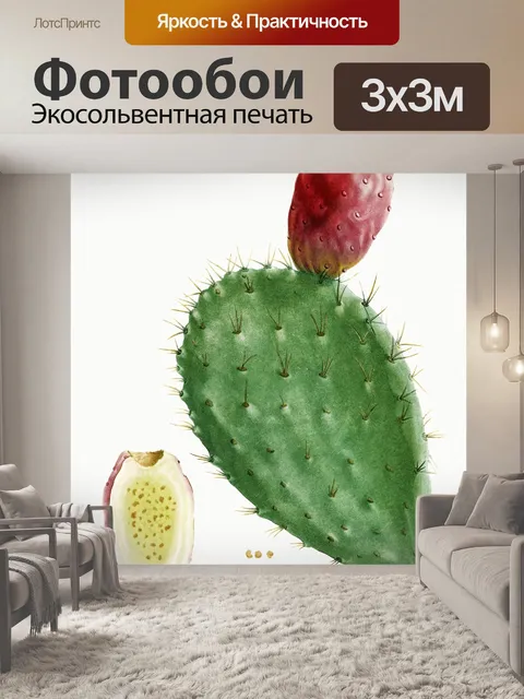 Фотообои Кактус cacti art vintage