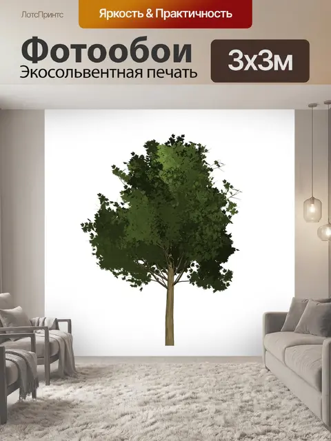 Фотообои Клен