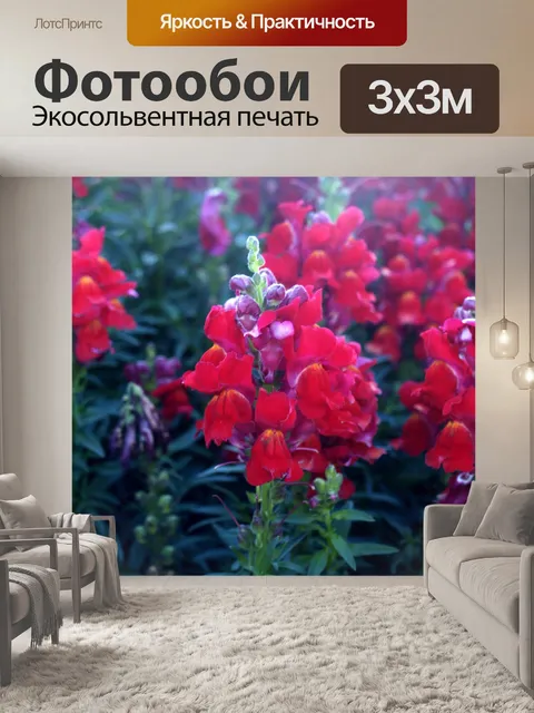 Фотообои Цветник на горе Дои Интанон