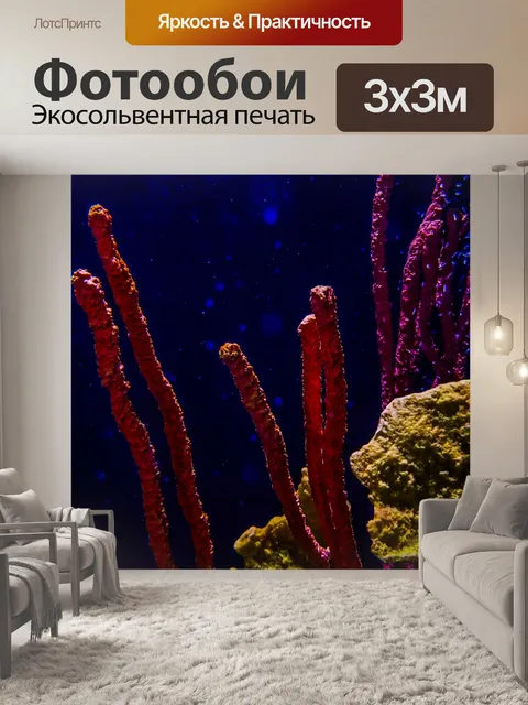 Фотообои Красочный морской коралловый фон
