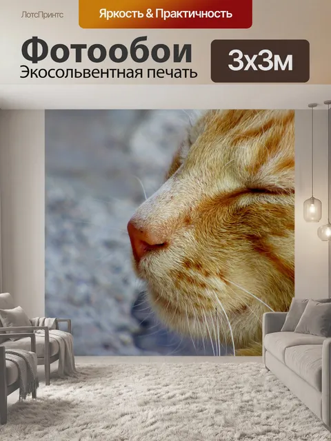 Фотообои Голова кошки