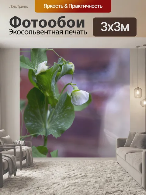 Фотообои Белые цветы на молодом горохе