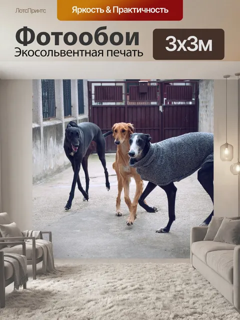 Фотообои Собаки играют