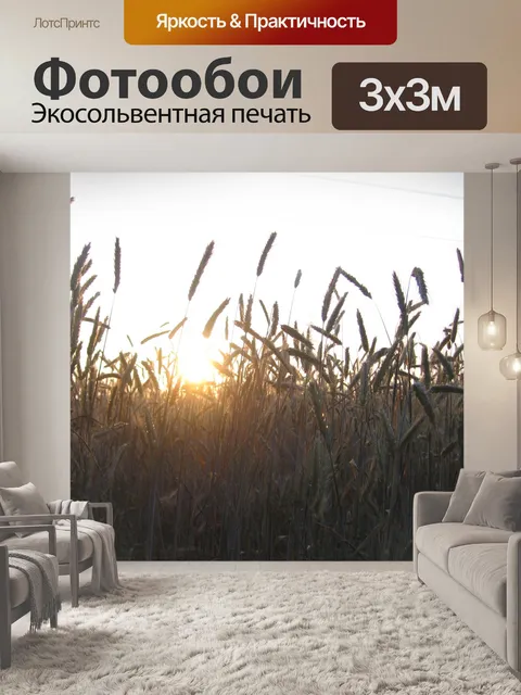 Фотообои Закат и зерна
