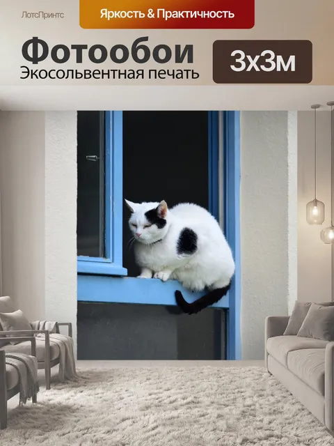 Фотообои Черно-белая кошка