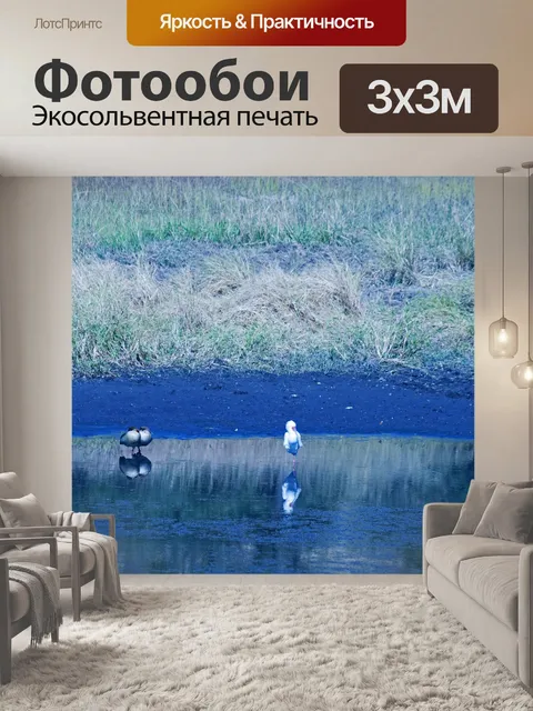 Фотообои Белая африканская колпица на плотине