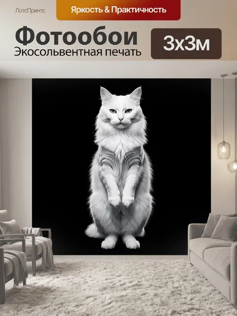 Фотообои Белый пушистый кот на черном фоне