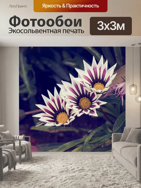 Фотообои Африканские ромашки