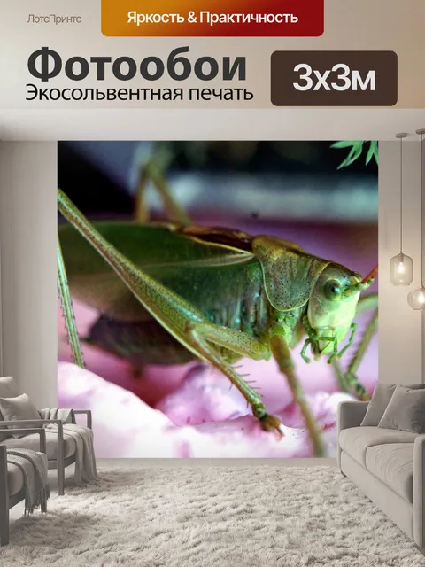 Фотообои Кузнечик