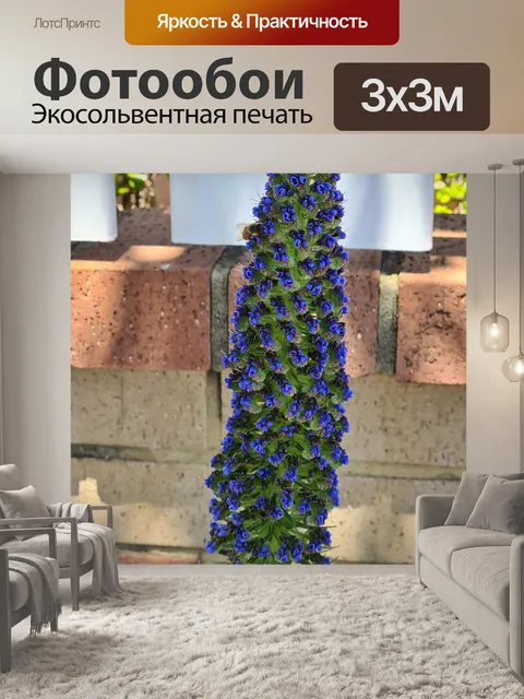 Фотообои Голубой эхиум и анемона