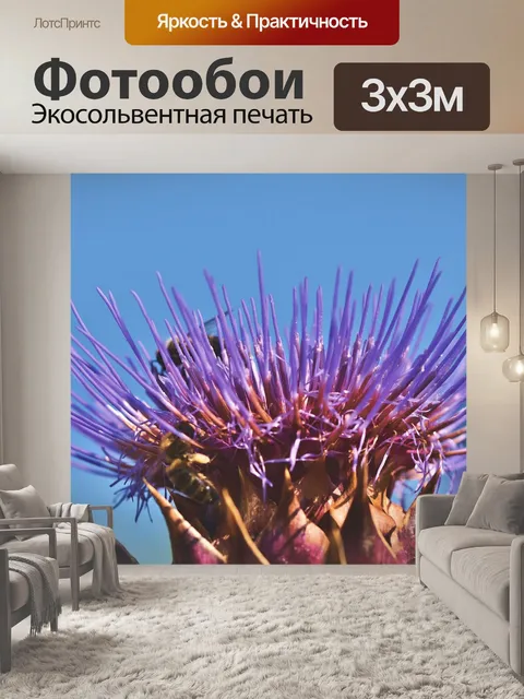 Фотообои Артишок