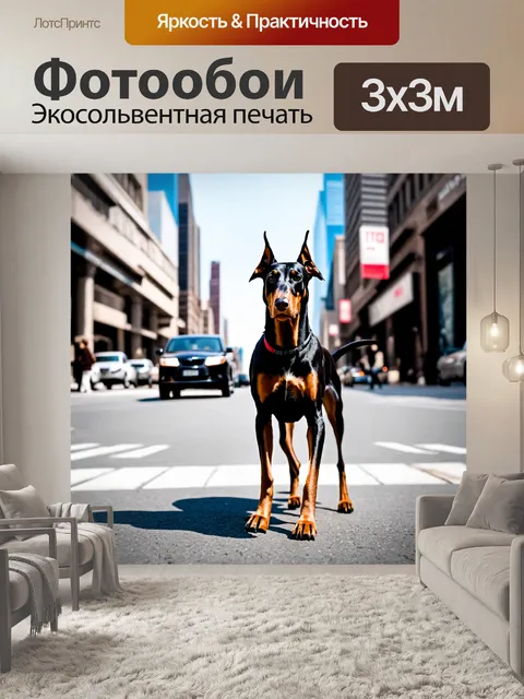 Фотообои доберман в городской обстановке