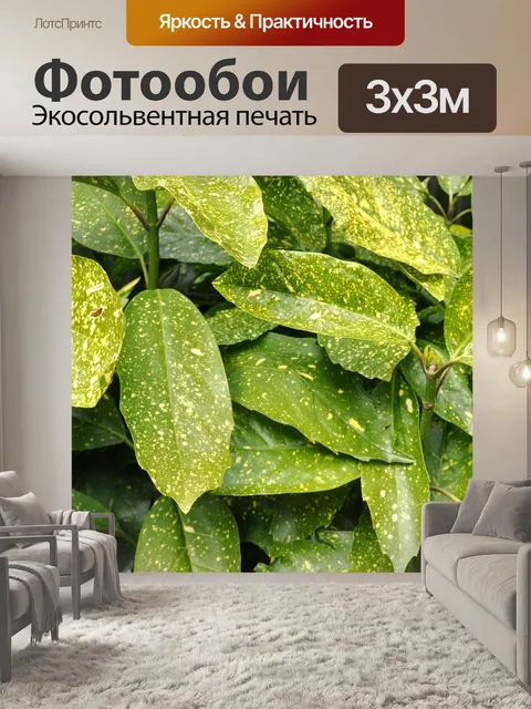 Фотообои Листья