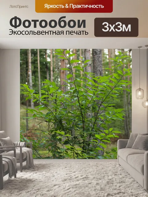 Фотообои Лесной куст