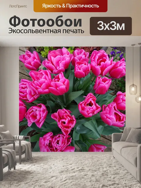 Фотообои Розовые тюльпаны