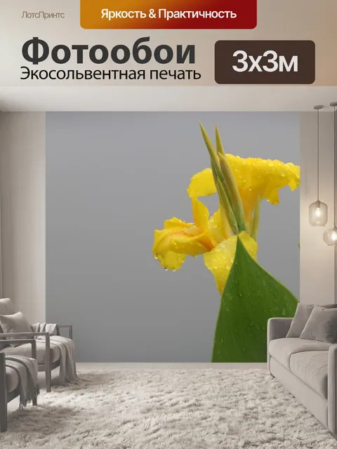 Фотообои Цветок
