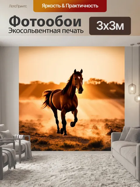 Фотообои конь, скачущий по равнине, лучи заката освещают его