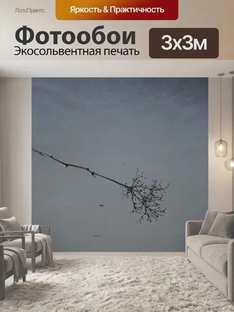 Фотообои Замороженная ветка