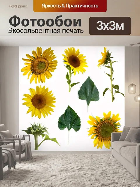 Фотообои Подсолнух