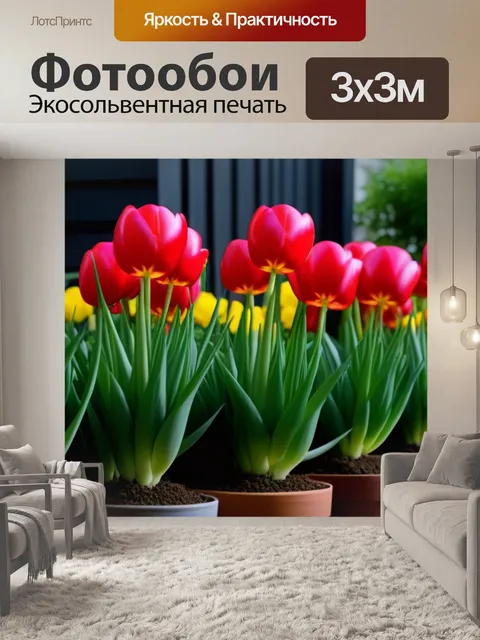 Фотообои тюльпаны в домашних условиях в горшках