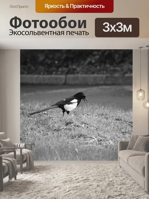Фотообои Сорока во время еды