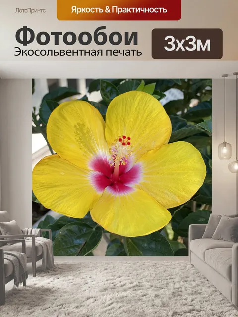 Фотообои Цветочный
