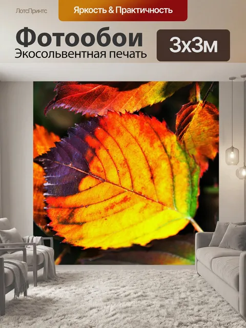 Фотообои Яркий осенний Терновник лист