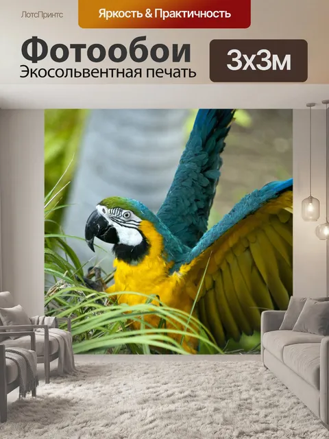 Фотообои Ара