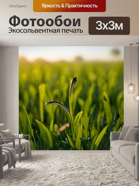 Фотообои поле, дышащее энергией весной, когда новые побеги пробиваются и змеи поворачиваются к теплу