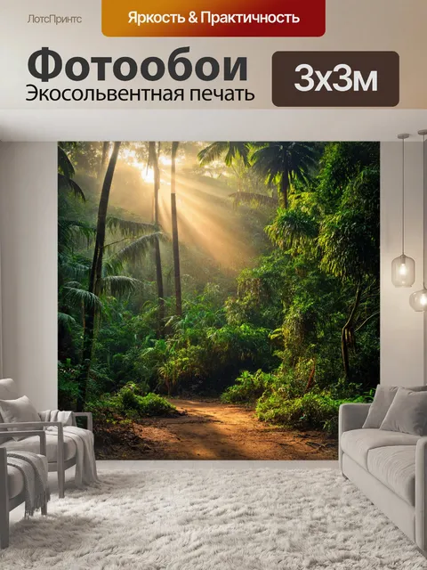 Фотообои утро, таинственные тропические леса, утренние лучи прекрасно освещают пейзаж