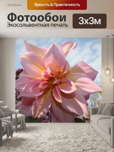 Фотообои Георгин