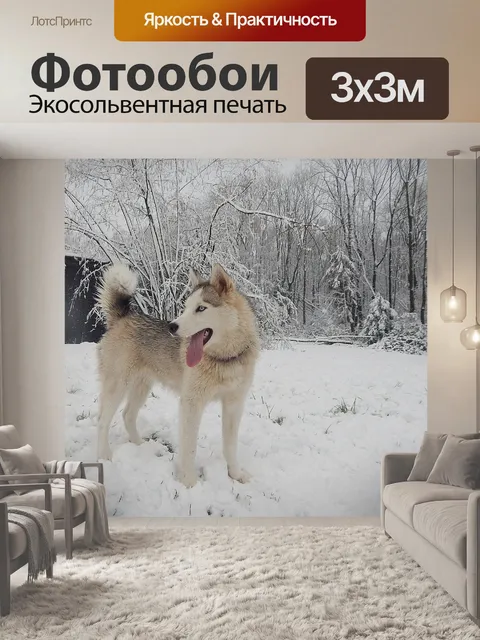 Фотообои Собака