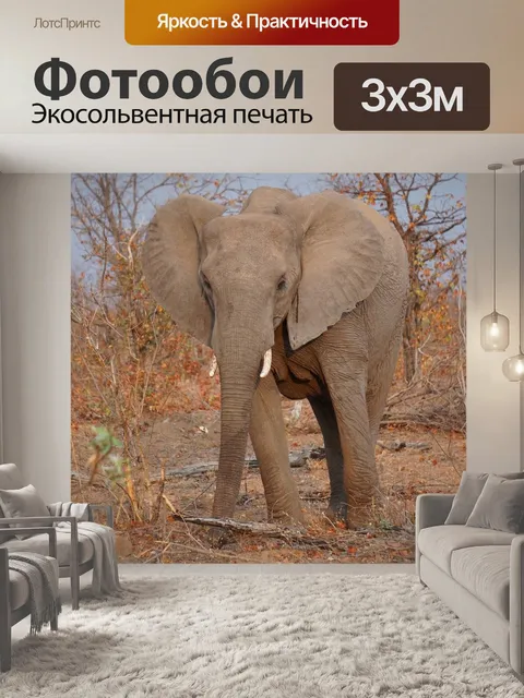 Фотообои Дикая природа