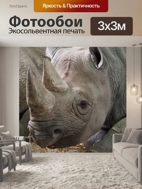 Фотообои Африка