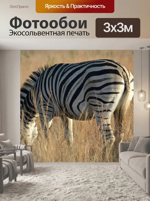 Фотообои Зебра